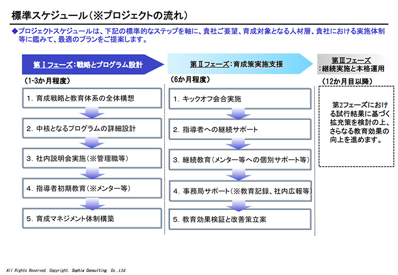 人材育成支援：標準スケジュール（※プロジェクトの流れ）